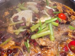 -老板恋上鱼(印象城店)