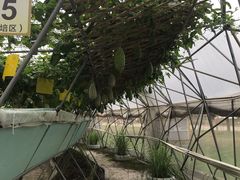 -盈香心动乐园