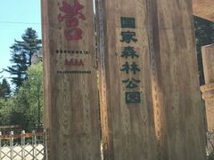 -五营红松林海景区