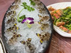 -富来美食