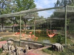 -石家庄市动物园