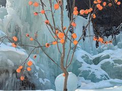 -青峰峡国家森林公园