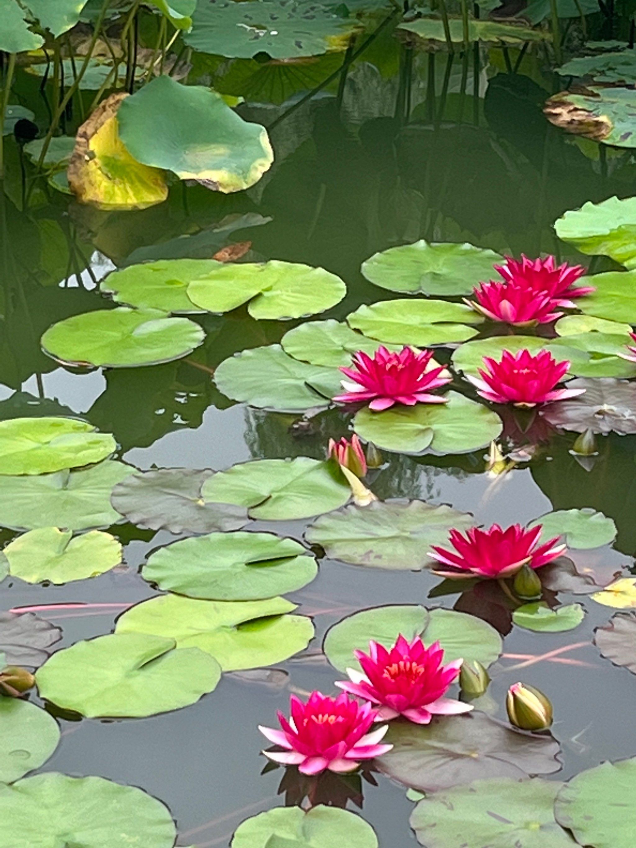 芯篇章请求逻辑体系规划的有限状况机提取办法专利得到大局的有限状况机成果