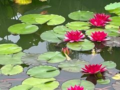 -国家植物园南园