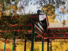 -北京市劳动人民文化宫(太庙)