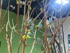 -上海大自然野生昆虫馆(东方明珠·爬宠昆虫探索中心)