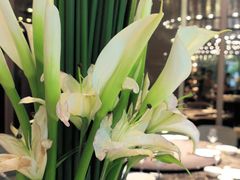 -悦百味·品质川菜(橄榄郡店)