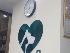 -瑞派康怡24h宠物医院·犬猫医疗中心·微创绝育(瑞景分院)