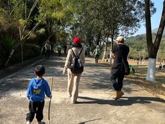 -田心森林公园