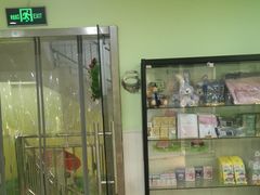 -学知乐教育·幼小衔接·小学科辅导(嘉定镇校区)