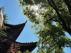 -大悲禅寺