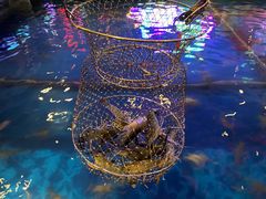 -钳真多钓虾馆·小龙虾海鲜烧烤(九六广场店)