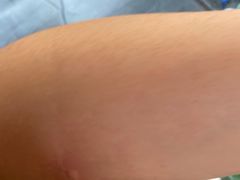 -庞叔正宗老牌越南卷粉