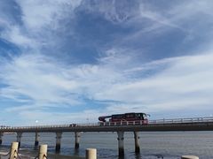 -演武大桥观景平台