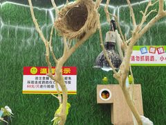 -荆州中山公园动物园