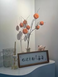 -DELAVAY黛乐薇抗衰中心