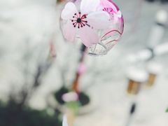 -重庆南山海昌汤都