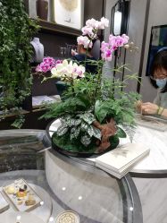-御珠宫坊(壹海城ONEMALL店)