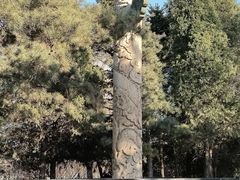 -北陵公园