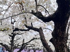 -江苏三台山国家森林公园