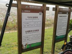 -大连铭湖国际观光牧场