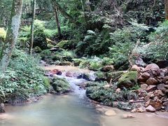 -龙岩森林水乡景区