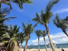 -玫瑰海岸文化旅游度假区
