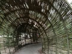 -北海金海湾红树林生态旅游区