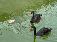 -水上乐园·欢乐世界