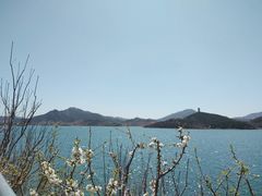 -望湖烤鱼