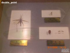 -上海昆虫博物馆