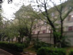 -武汉大学-樱园