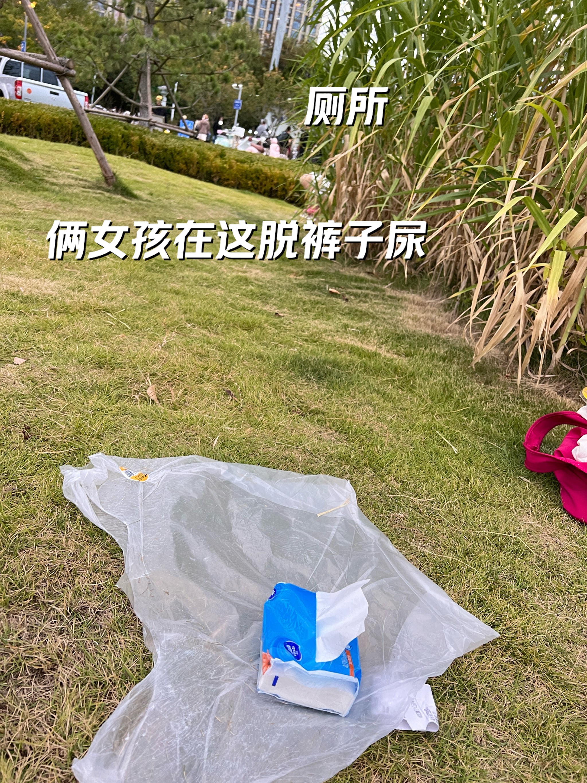 女生小便流血图片