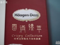 包装盒-哈根达斯(宁波和义店)