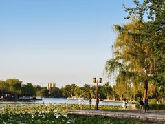 -济南大明湖景区