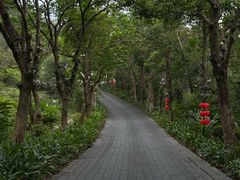 -海南文笔峰盘古文化旅游区