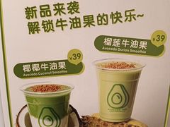 -油梨树AVOCADO TREE(嘉里中心店)