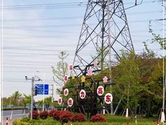 -高东镇樱花园