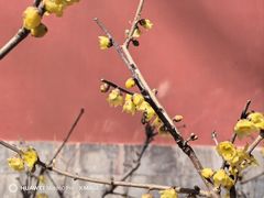 -国家植物园