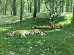 -北京野生动物园