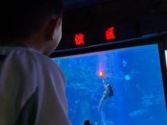 -太平洋海底世界