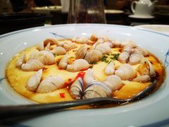 蛤蜊炖蛋-新南华大酒店(广中店)