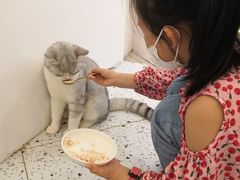 -猫域·湾主题猫咖·宠物吧(南坪城市广场店)