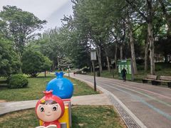 -唐城墙遗址公园