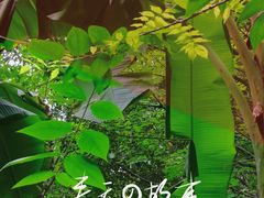 -龙头寺公园
