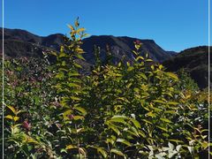 -幽岚山·童话森林