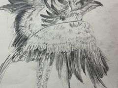 -尼莫儿童美术(三阳路融科天城校区)