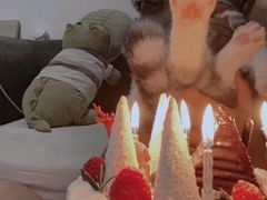 -半勺舒舒生日蛋糕店