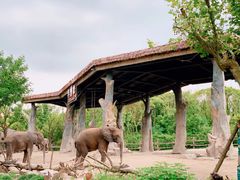 -上海野生动物园