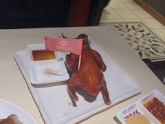 -侨美食家·粤菜(体育西路店)